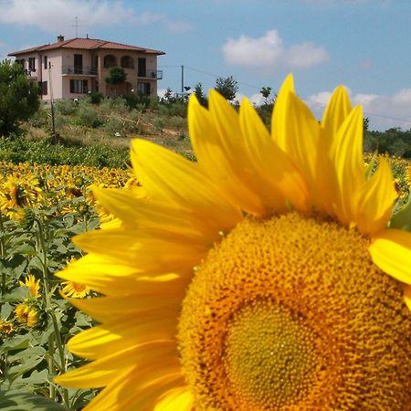 B&B Il Girasole - Rooms & House In Country - 1500 Meters From Historic Center Montepulciano Exterior photo