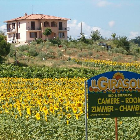 B&B Il Girasole - Rooms & House In Country - 1500 Meters From Historic Center Montepulciano Exterior photo