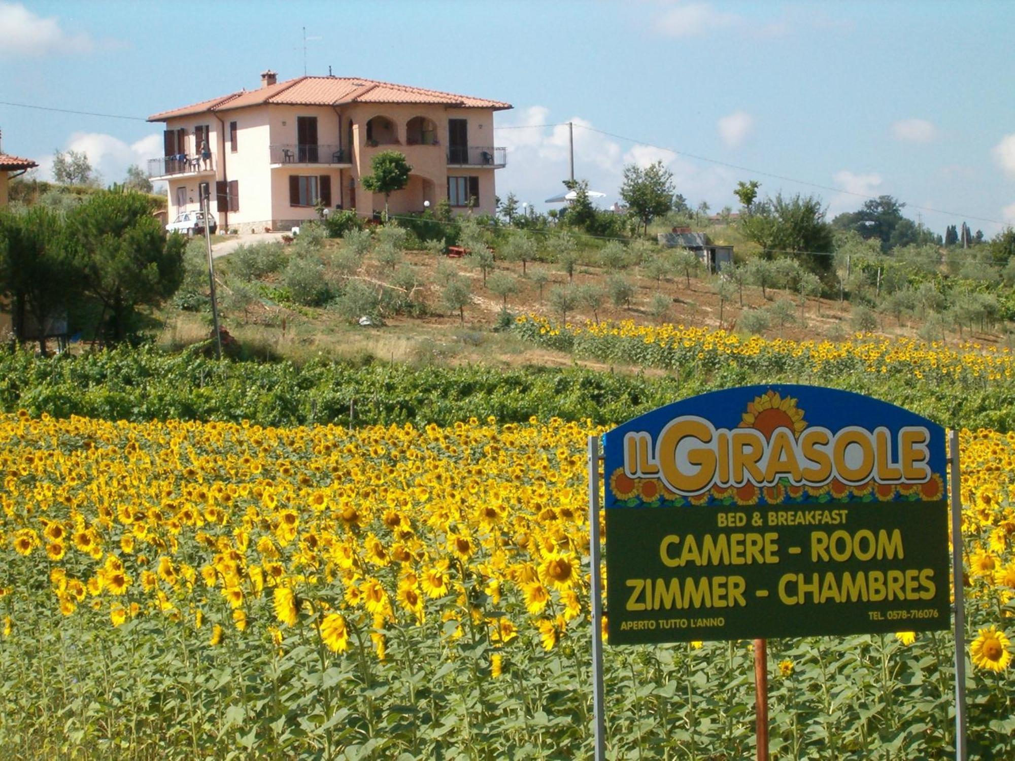 B&B Il Girasole - Rooms & House In Country - 1500 Meters From Historic Center Montepulciano Exterior photo