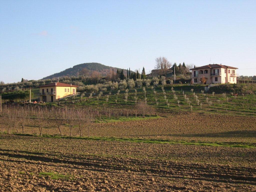 B&B Il Girasole - Rooms & House In Country - 1500 Meters From Historic Center Montepulciano Exterior photo