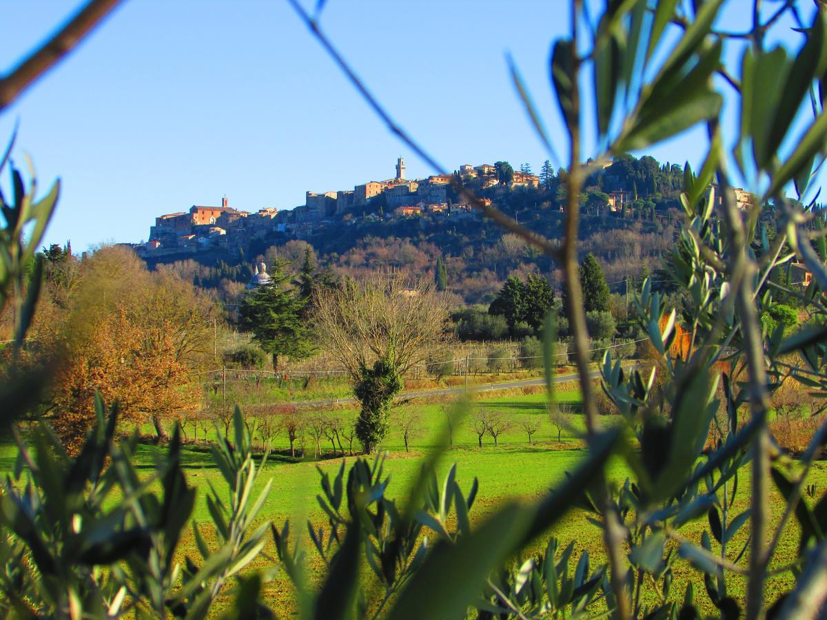 B&B Il Girasole - Rooms & House In Country - 1500 Meters From Historic Center Montepulciano Exterior photo