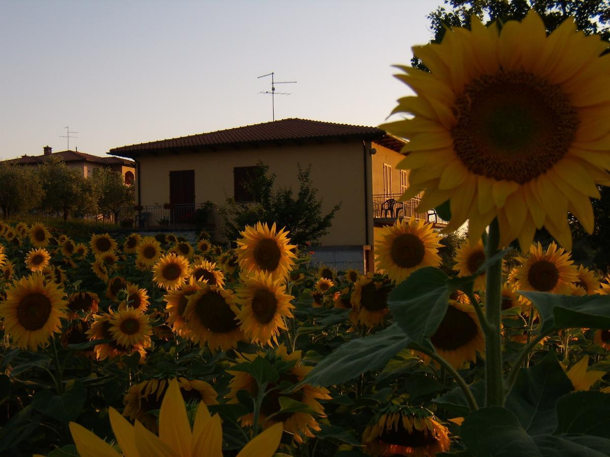 B&B Il Girasole - Rooms & House In Country - 1500 Meters From Historic Center Montepulciano Exterior photo